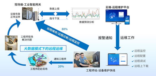 凍干閃釋技術在食品加工領域中的應用與信息技術咨詢服務的融合創新